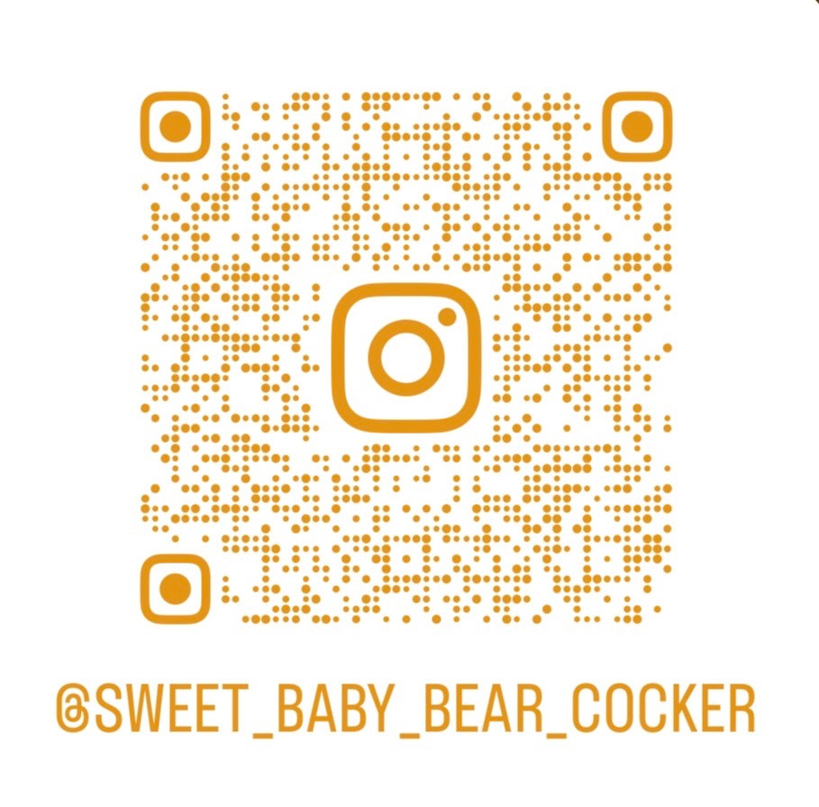 Sweet Baby Bear - Suivez nous sur Instagram ✨