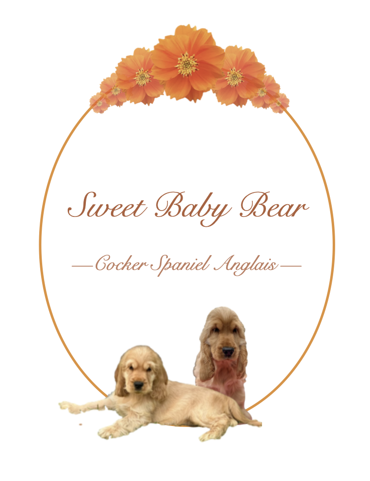 Sweet Baby Bear